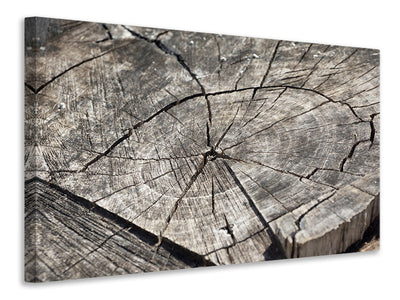 canvas-print-the-tree-rings
