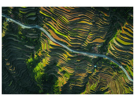 canvas-print-the-way-of-terraced-fields-x