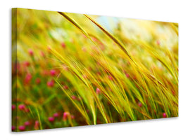 canvas-print-the-wheat-field