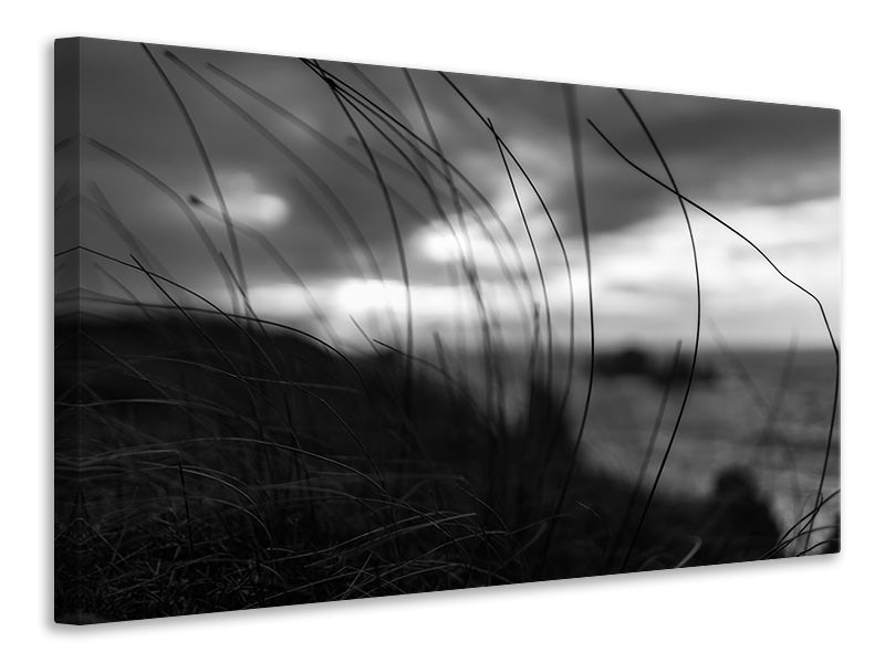 canvas-print-the-wind-brings-the-night