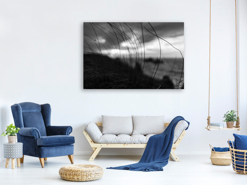 canvas-print-the-wind-brings-the-night