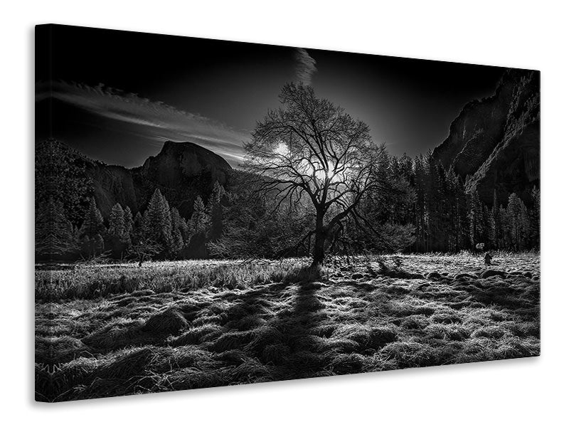 canvas-print-the-winter-spirit