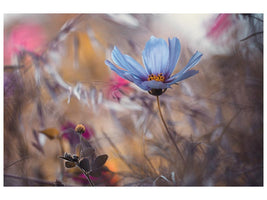 canvas-print-things-that-flowers-tell-x