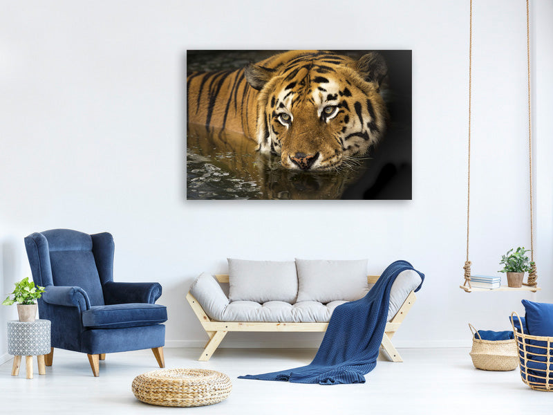 canvas-print-tiger-in-the-water