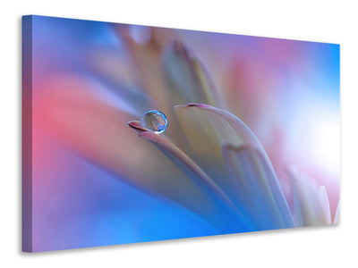 canvas-print-touch-me-softly