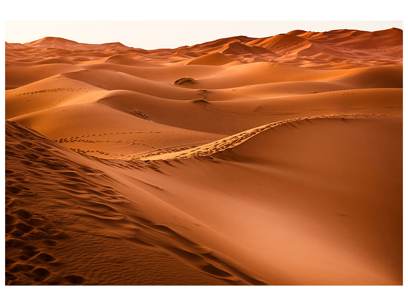 canvas-print-traces-in-the-desert