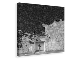 canvas-print-transience