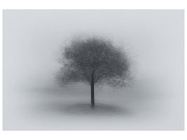 canvas-print-tree-in-fog-x