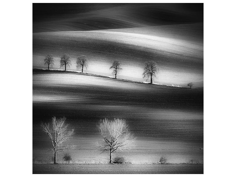 canvas-print-trees-ii