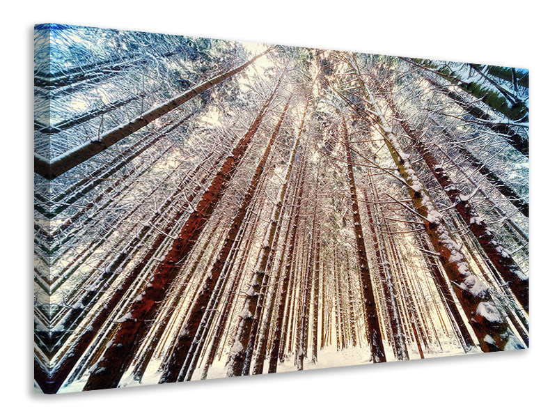 canvas-print-trees-in-the-snow