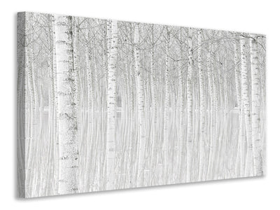 canvas-print-trees