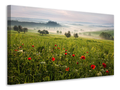 canvas-print-tuscan-spring