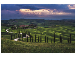 canvas-print-tuscany-crete-senesi