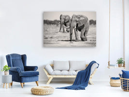 canvas-print-twin-elephants-x