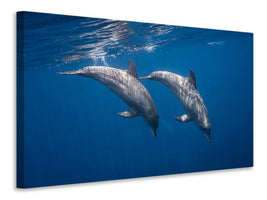 canvas-print-two-bottlenose-dolphins