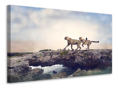 canvas-print-two-cheetahs