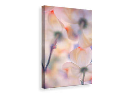 canvas-print-under-the-skirts-of-flowers