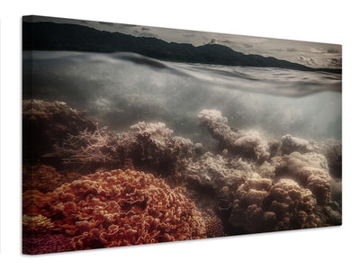 canvas-print-underwater-evening-x
