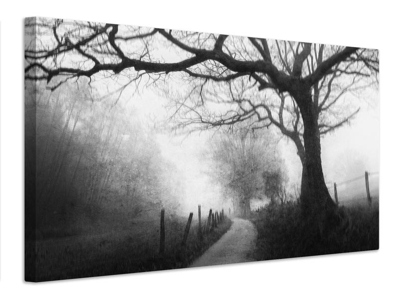 canvas-print-vague-memories-x