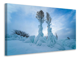 canvas-print-warmth-in-the-cold