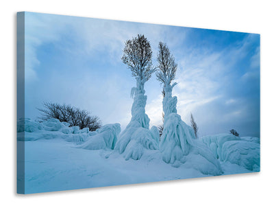 canvas-print-warmth-in-the-cold