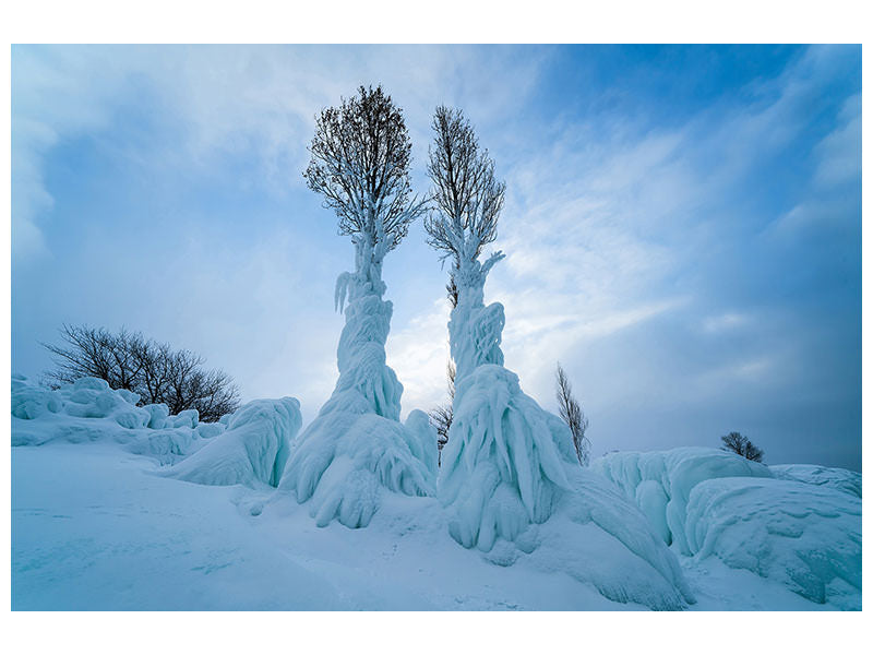 canvas-print-warmth-in-the-cold
