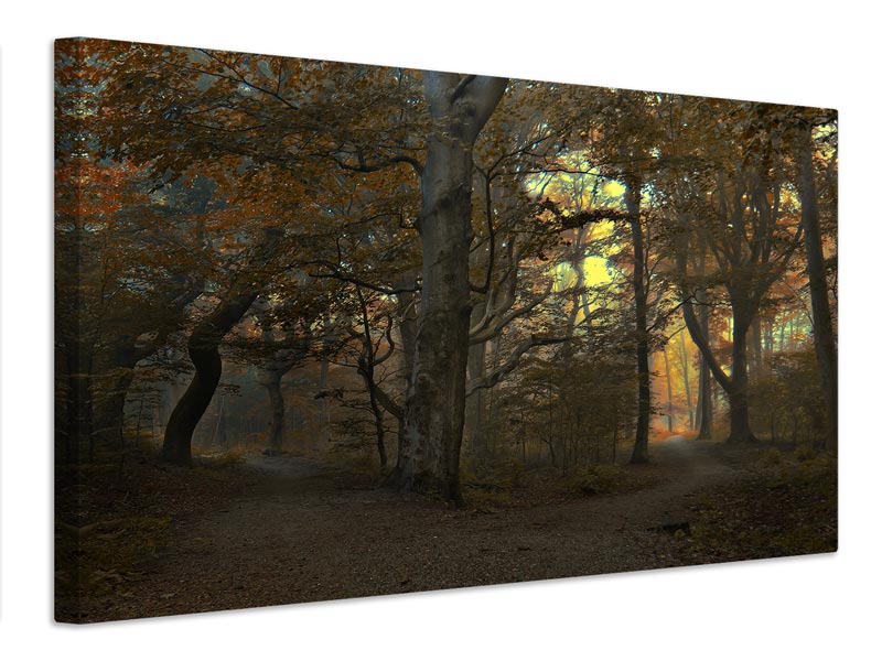 canvas-print-which-path-x