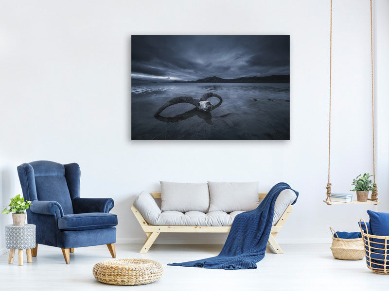 canvas-print-white-bone-beach