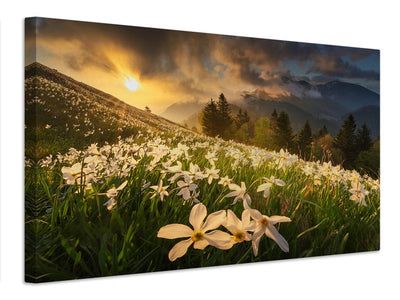 canvas-print-white-carpet-xvs