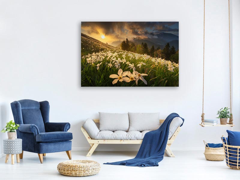 canvas-print-white-carpet-xvs