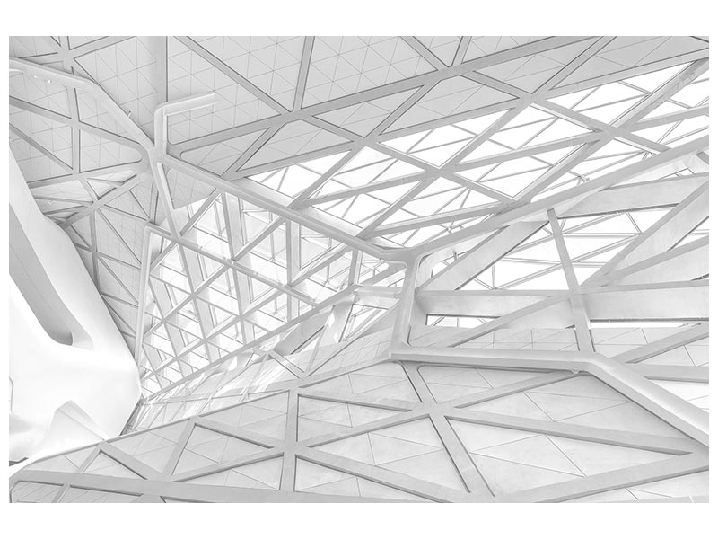 canvas-print-white-web-x