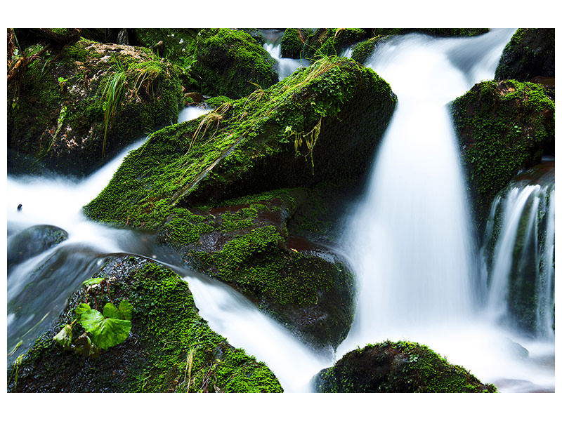 canvas-print-wild-waterfall