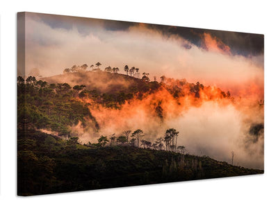 canvas-print-wildfire-x