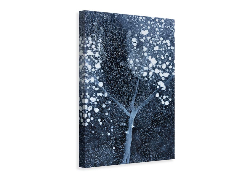 canvas-print-winter-blossom-x