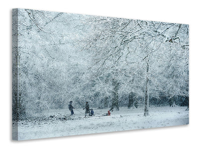 canvas-print-winter-dream