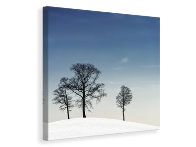 canvas-print-winter-haiku