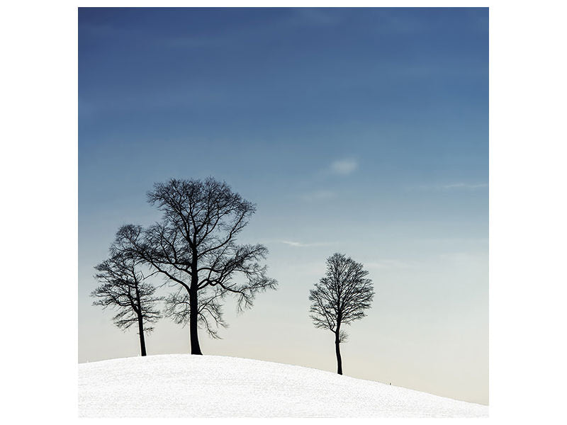 canvas-print-winter-haiku