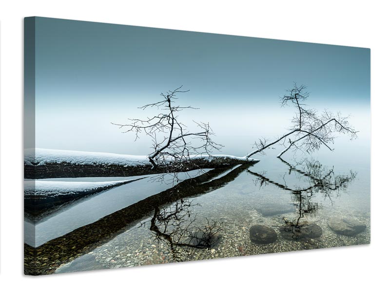 canvas-print-winter-impression-x