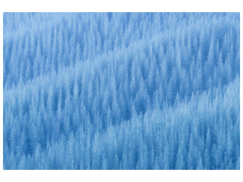 canvas-print-winter-s-pattern-x