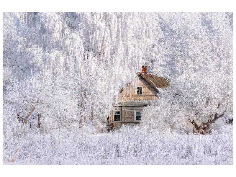 canvas-print-winter-tale-x