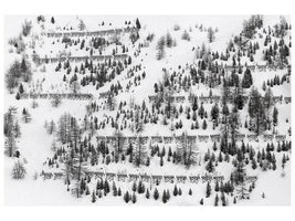canvas-print-winter-trees-x