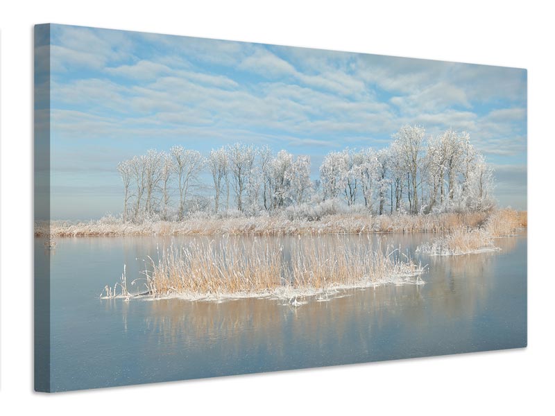 canvas-print-winter-xfq