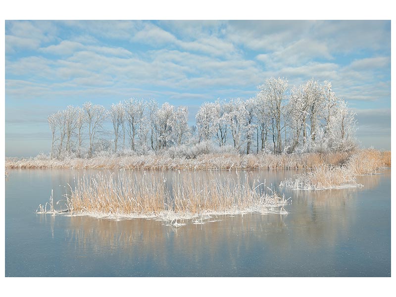 canvas-print-winter-xfq