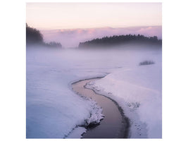 canvas-print-winters-mystique