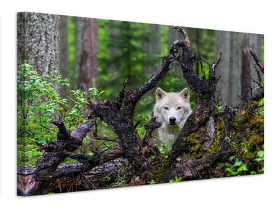 canvas-print-wolf-x