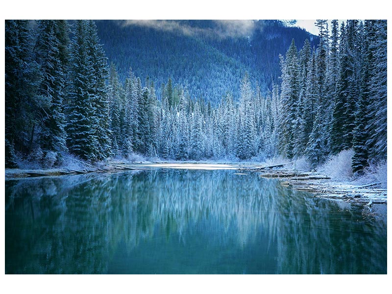 canvas-print-wonder-winter-land-x