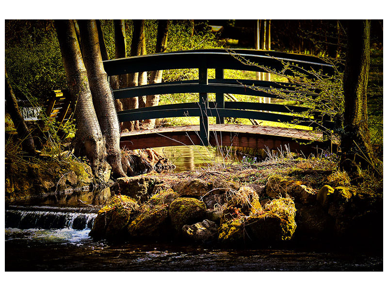 canvas-print-wooden-bridge-in-the-forest