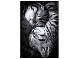 canvas-print-yin-and-yang