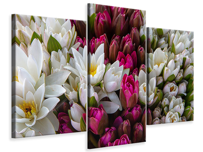 modern-3-piece-canvas-print-a-bouquet-of-water-lilies