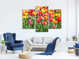 modern-3-piece-canvas-print-a-colorful-tulip-field